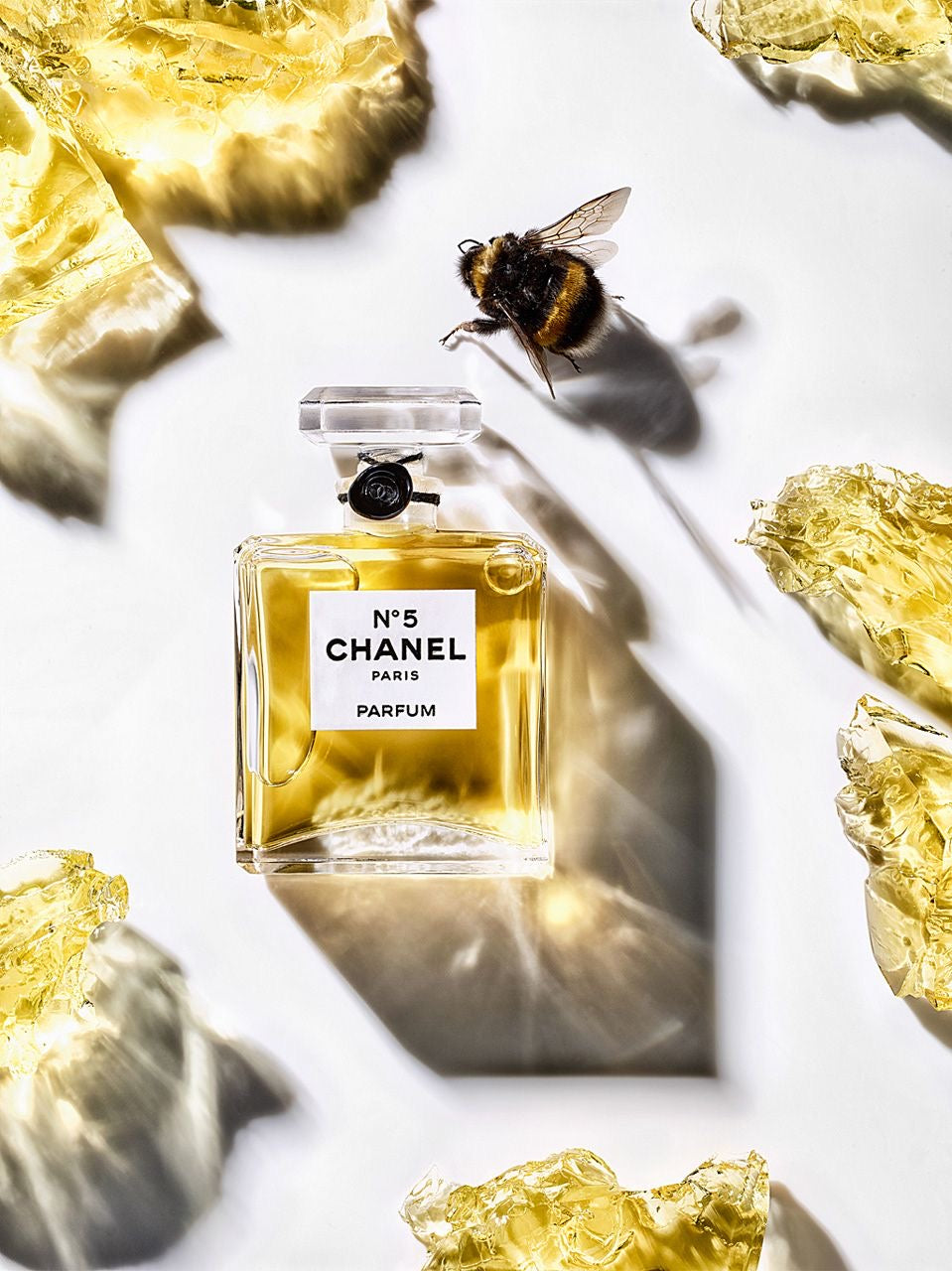 Chanel N°5 Eau De Parfum (100ml